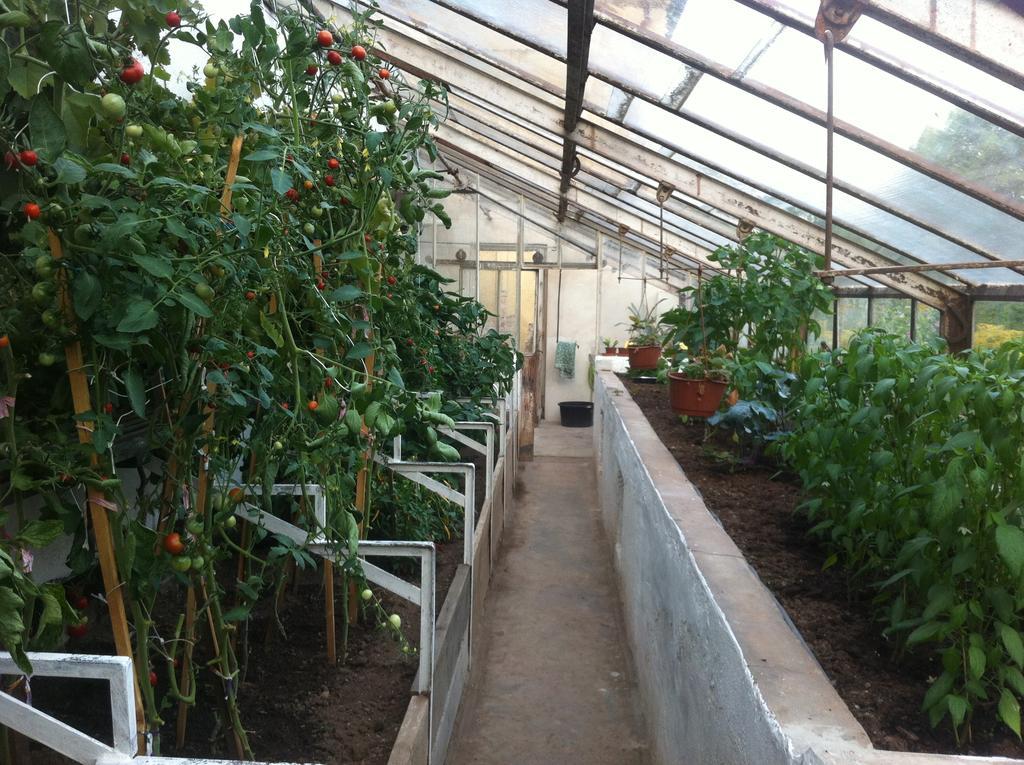 Vila Katerina Broumov Ngoại thất bức ảnh