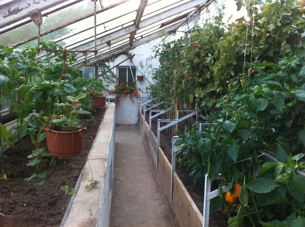 Vila Katerina Broumov Ngoại thất bức ảnh